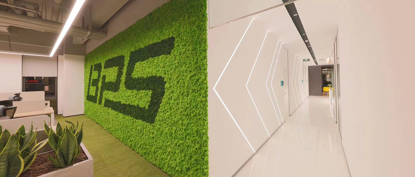 k8凯发(中国)天生赢家·一触即发