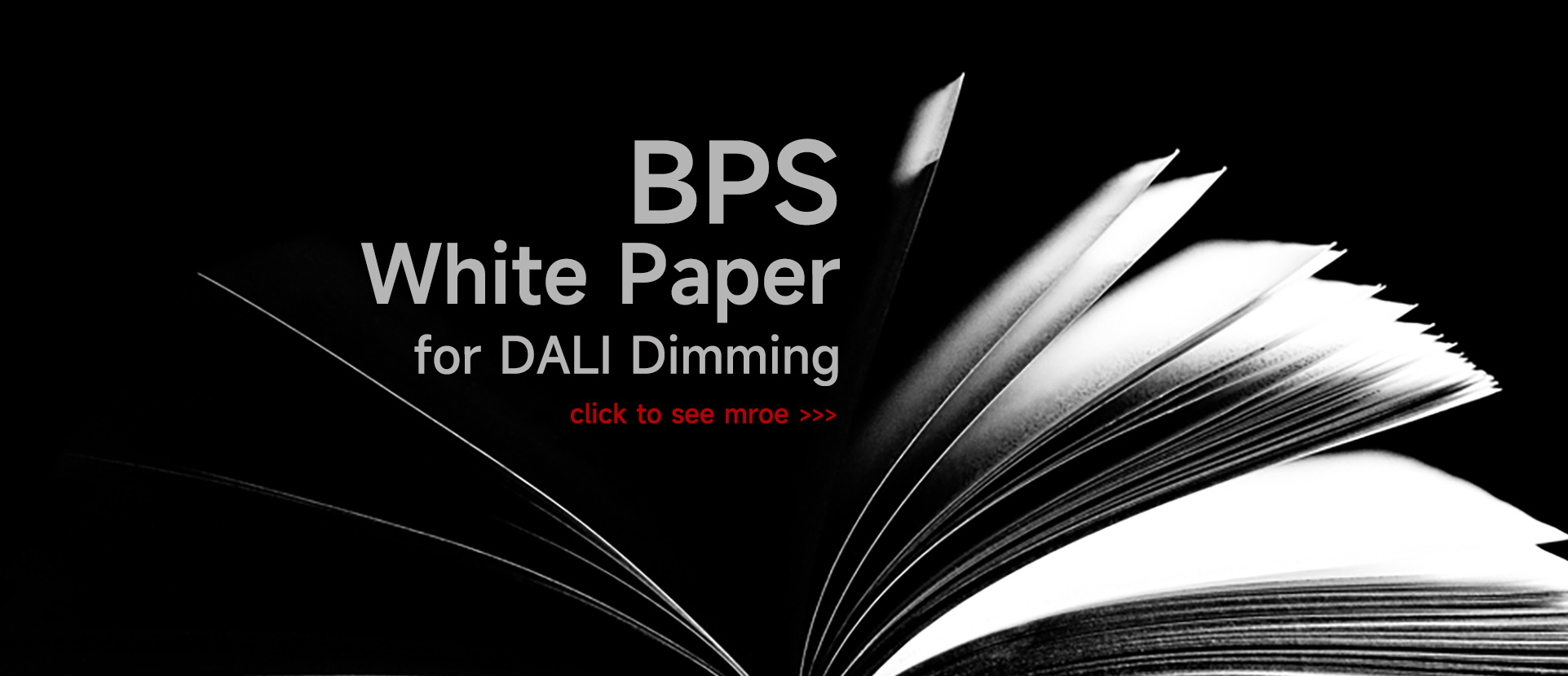 k8凯发(中国)天生赢家·一触即发